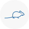 Mice Exterminators In Didcot